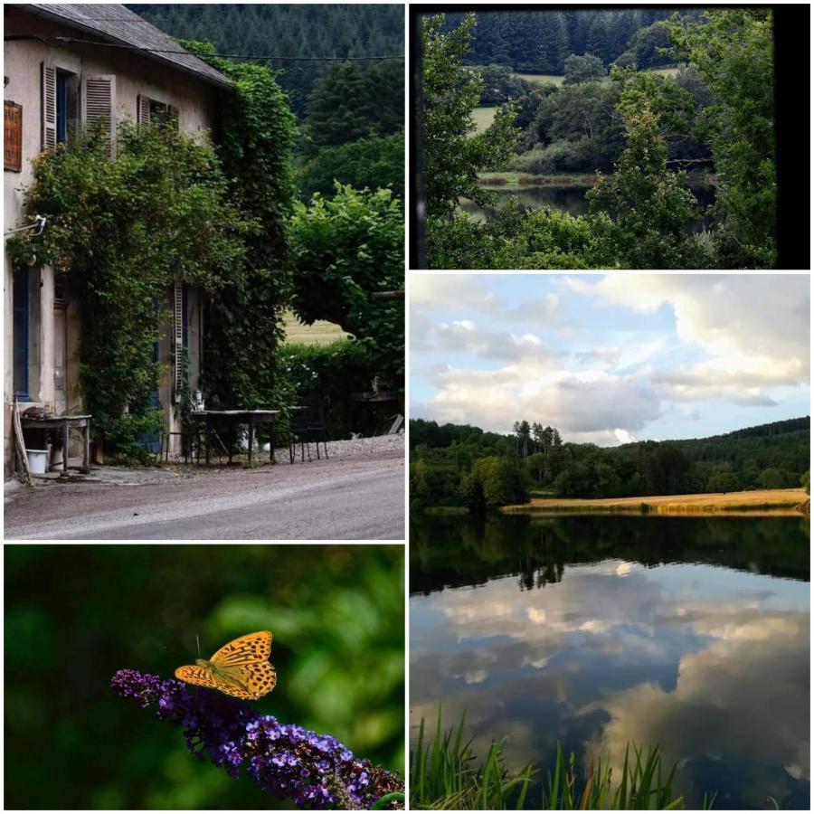 Chambres D'Hotes A L'Etang D'Yonne Arleuf Buitenkant foto